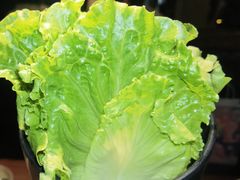 -九田家黑牛烤肉料理(新辰里亚运村店)