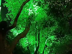 -黑皮酸菜鱼(三山街店)