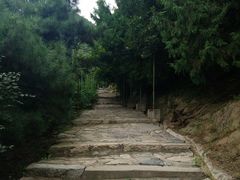 -北京鹫峰国家森林公园