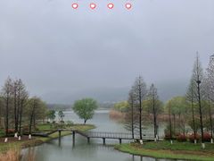 -长广溪湿地公园