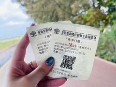 -北海金海湾红树林生态旅游区