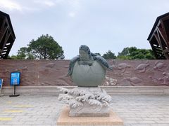 -广东惠东海龟国家级自然保护区