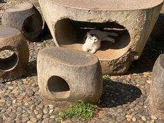 -云南野生动物园