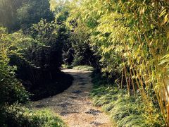 -张家港凤凰山景区恬庄古街