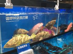 -盒马鲜生(曜一城店)