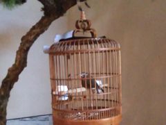 -小厨娘淮扬菜(六合欢乐港店)