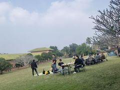 -侯臣咖啡文化村