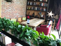 -D STAR COFFEE帝星咖啡