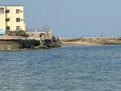 -养马岛旅游度假区