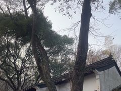 -兴福禅寺