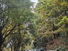 -广州市石门国家森林公园