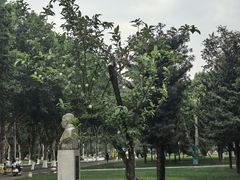 -四川大学(望江校区)