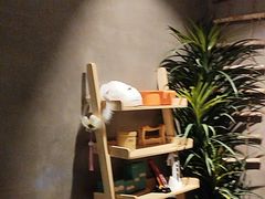-施奈儿.洗头頭療.按摩SPA.采耳(上梅林店)