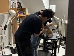 -Oh My Dog宠物沙龙(伊珊娜皮毛护理店)