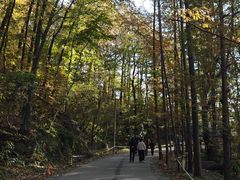 -波尔登森林公园