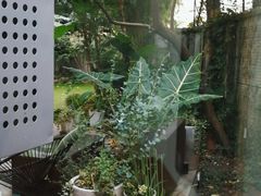 -胶囊画廊