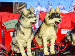 -长春市南湖公园