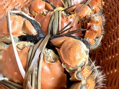 -蟹村草堂·苏式园林人文农家·大闸蟹