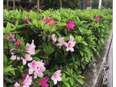 -天河体育中心