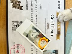 -美迦爱-牙专科·兔科·骨科诊疗中心(北苑店)