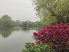 -西湖外事游船(湖滨二公园外事游船码头)