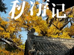 -晋祠公园