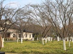 -范蠡湖公园