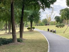 -九科绿洲