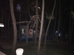 -林海公园