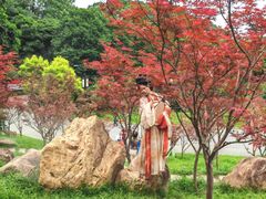-广州市帽峰山景区