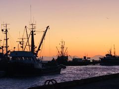 -Steveston Pizza Company (Richmond)