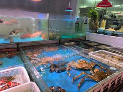 -金成潮菜博物馆(海珠湿地店)