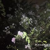 一起合道