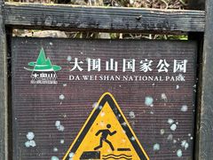 -大围山国家森林公园
