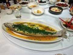 葱油蒸白水鱼-玫瑰厅上海菜(兴国路店)
