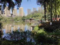 -龙头寺公园