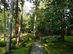 -西芳寺(苔寺)