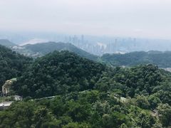 -大金鹰园