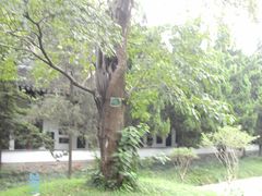 -苏州文庙(姑苏区)