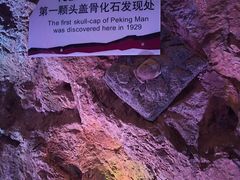 -周口店北京人遗址公园
