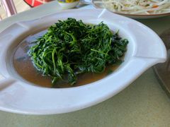 时令野菜-梦缘水乡·湖景餐厅