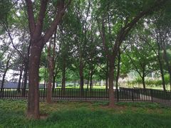 -北京鸿华高尔夫练习场
