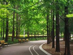 -苏州河梦清园环保主题公园