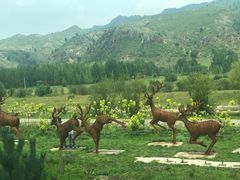 -塞罕坝国家级自然保护区