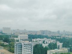 -南京维景国际大酒店(南京博物院店)