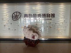 -青岛贝壳博物馆