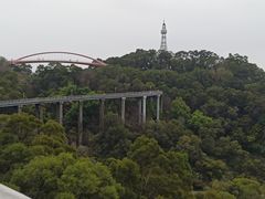 -金鸡山公园