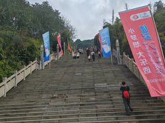 -铁山坪森林公园