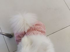 -怪兽屋·羊驼·猫咖·狗咖(俊华广场店)