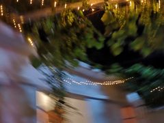 -ZING鲸鱼啤酒(葡萄院店)